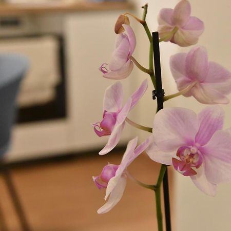 Ηλιόλουστο Apartment Athena Bagian luar foto